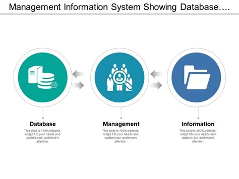 Image result for Infographic for Database Management System