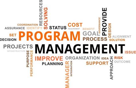 Image result for Free Pictures of Program Management