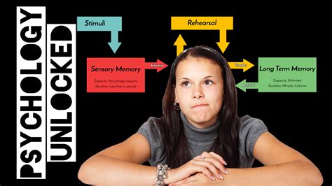 Image result for Short-Term Memory