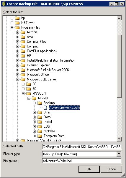 Image result for Restore the Microsoft SQL Server On the Target or Destination Server