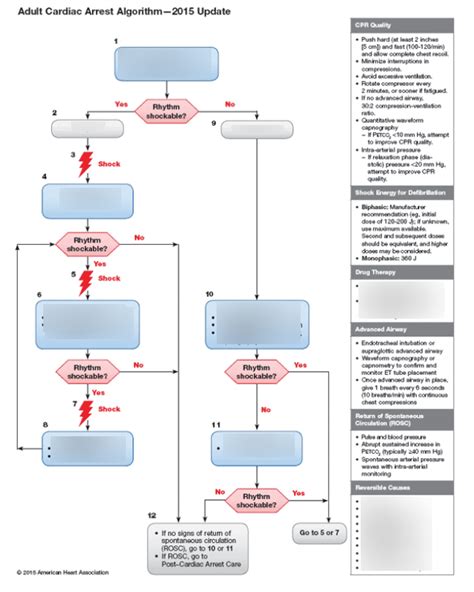 Afbeeldingsresultaten voor Adult Cardiac Arrest Algorithm