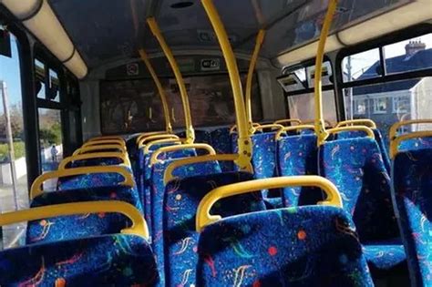 Image result for Unqiue Bus