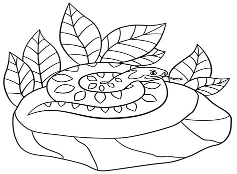 Toradh íomhá ar Python Colouring Sheet