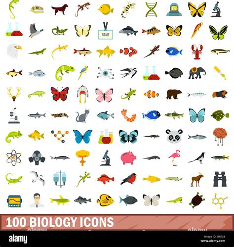 Image result for Biological Evolution Icon