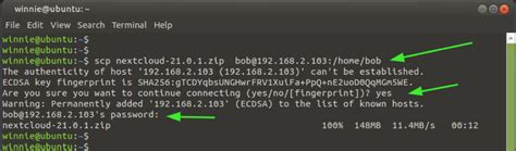 SCP Command に対する画像結果