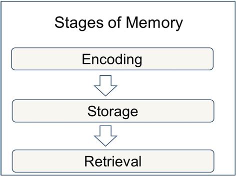 Image result for The Memory Process