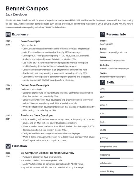 Java Developer Resume in Banking Sector に対する画像結果