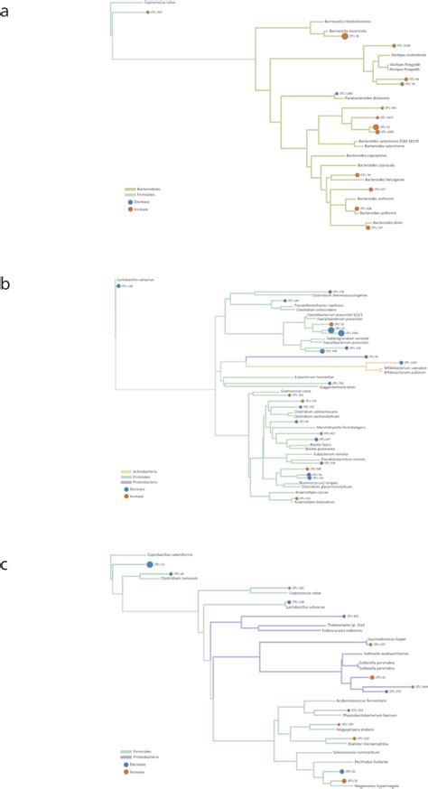 Toradh íomhá ar Random Forest Model
