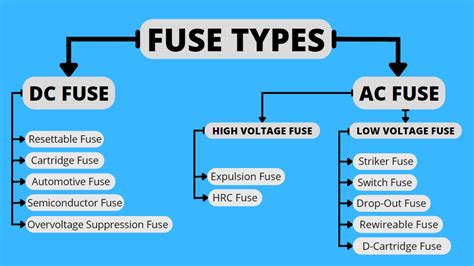 Difference Between Type and Form に対する画像結果