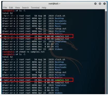 Image result for Kali Linux Terminal Commands