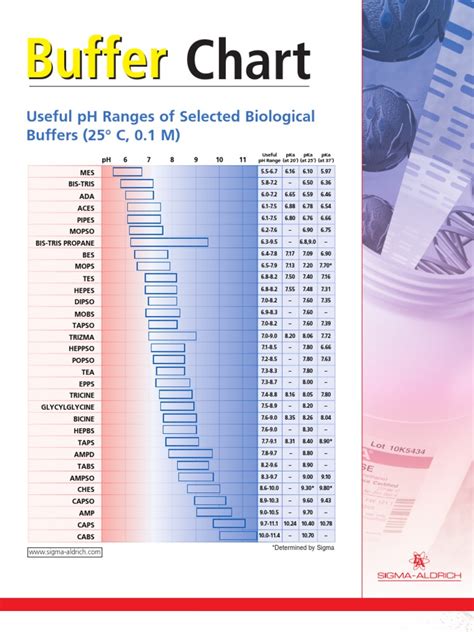 Toradh íomhá ar Buffer Solution Ph Color Chart