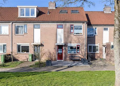 Toradh íomhá ar Hoefijzer Concours