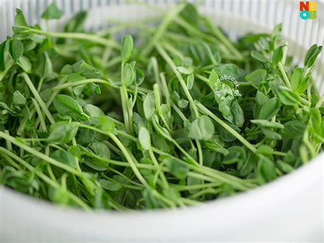 Toradh íomhá ar Dou Miao Vegetables