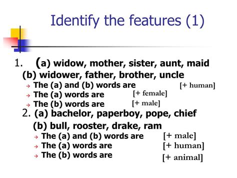 Image result for Semantic Features Examples