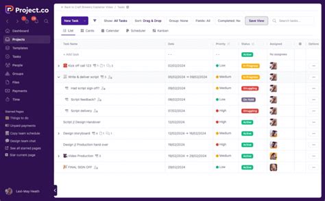 Image result for Timeline Project Activity