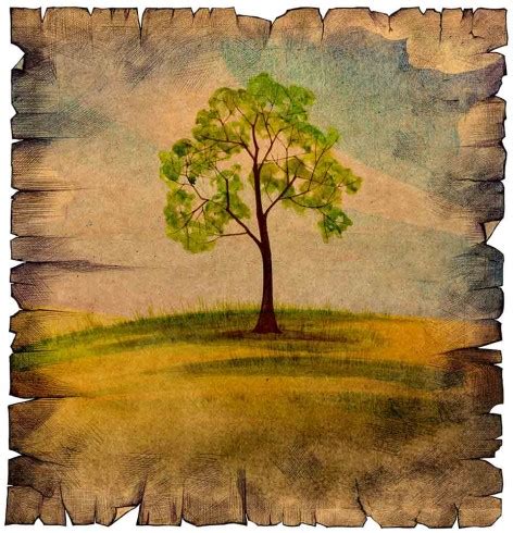 Natural Processes Poster-Making に対する画像結果