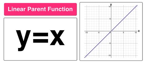 Parent Function Graphs Domain and Range に対する画像結果