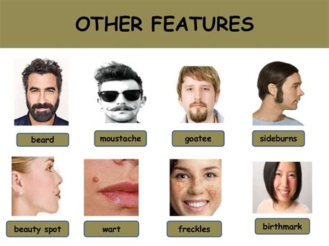 Human Features Examples に対する画像結果