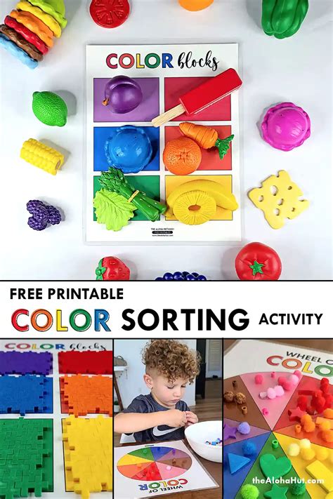 Image result for Color Sorting Printable