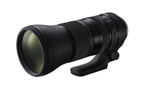 Toradh íomhá ar Best Lens for Bird Photography