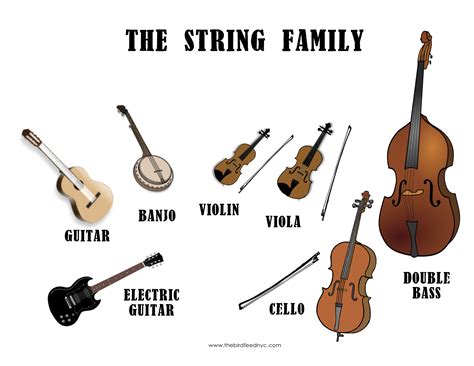 Toradh íomhá ar Different Types of String Instruments