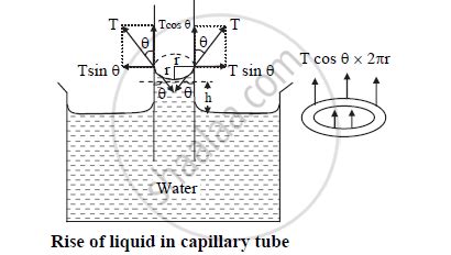Image result for Capillary Action Architectural Diagrams