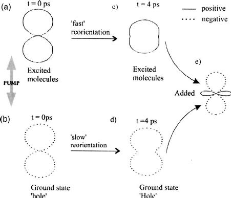 Parallel Signals に対する画像結果