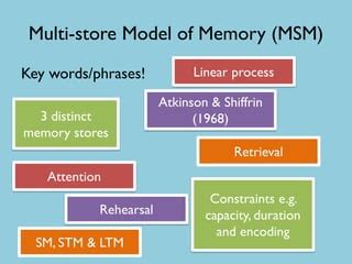 Image result for MSM Multi-Store Model
