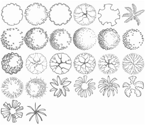 Image result for Tree Symbol Landscape Drawing