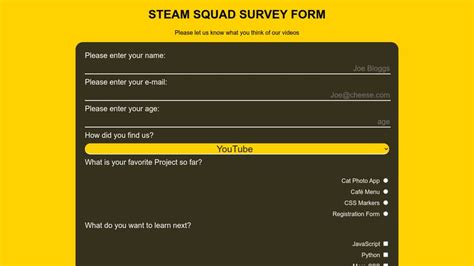 Image result for Free Code Camp Survey Form Project