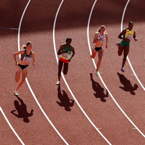 Track Loader Comparison Chart に対する画像結果