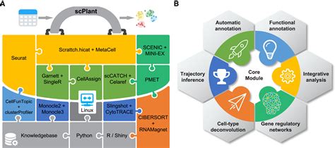 Single Cell Transcriptomics Workflow Plants に対する画像結果