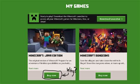 Image result for Minecraft Java Edition Status