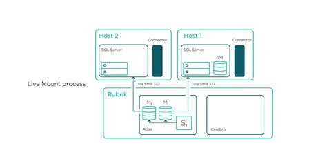 SQL Live Examples に対する画像結果