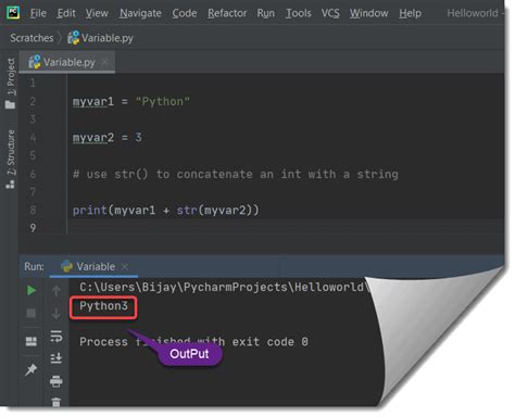 Image result for Concatenate Python with Input