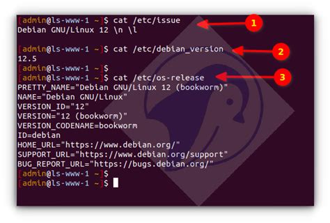 Image result for Linux Command Show Version