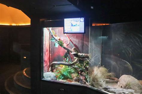 Image result for Python Enclosure Landscaping