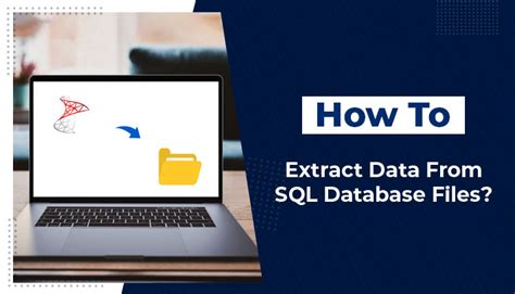 Image result for How to Extract Data From a SQL
