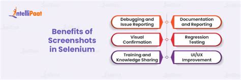 Image result for Selenium Interface Screenshot