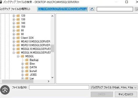 What Is Bak File に対する画像結果