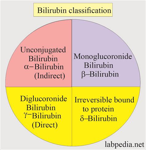 Total Bilirubin Test に対する画像結果