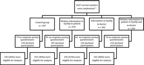 Image result for Flowchart of Randomization Process in a Sports Study