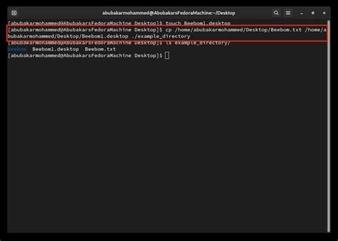 Toradh íomhá ar How to Copy File in Linux Terminal