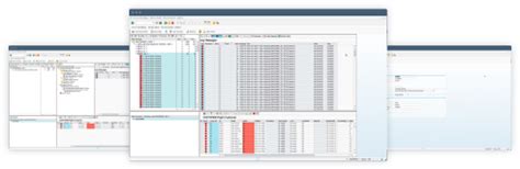 Image result for Application Programming Interface for 2 System SAP and Oracle