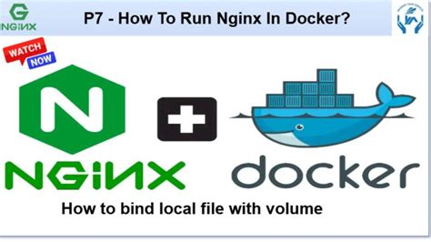 Image result for Docker Container Picture Nginx