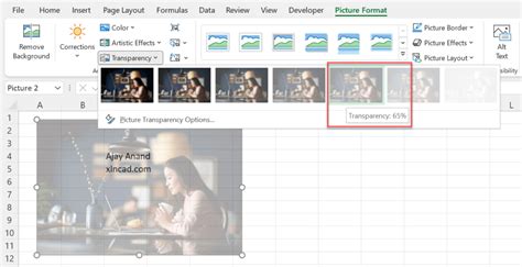 Image result for Excel Transparent Background