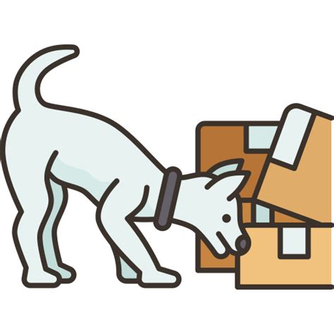 Toradh íomhá ar Sniff Test Icon