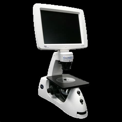 Evos Inverted Microscope に対する画像結果