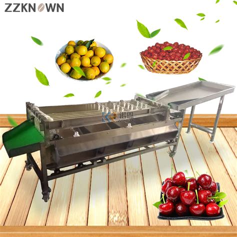 Image result for Sorting Pomegranate Machine