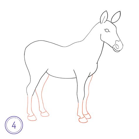 Image result for Zebra Drawing Easy Step by Step